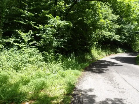 0 East Blue Creek Road Mc Ewen TN 37101
