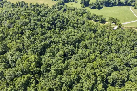 0 East Blue Creek Road Mc Ewen TN 37101