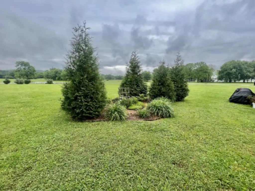 219 Big Springs Road Bell Buckle TN 37020