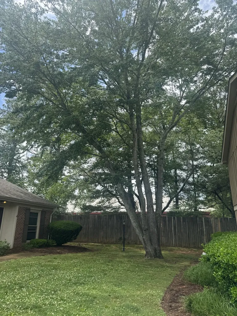 1011 Murfreesboro Road Franklin TN 37064