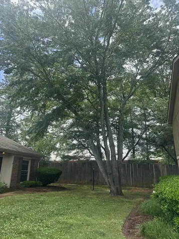 1011 Murfreesboro Road Franklin TN 37064