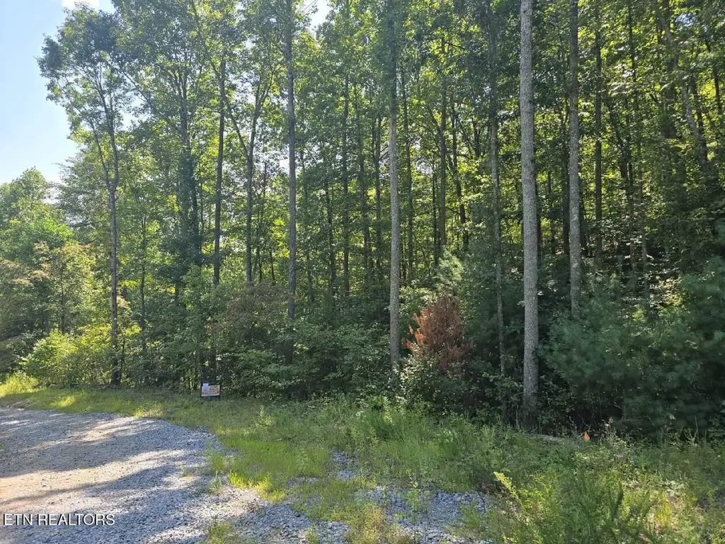0 Red Rooster Way Sevierville TN 37876