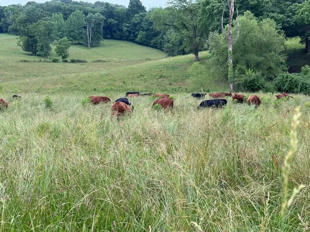 36 Parker Valley Lane Frankewing TN 38459