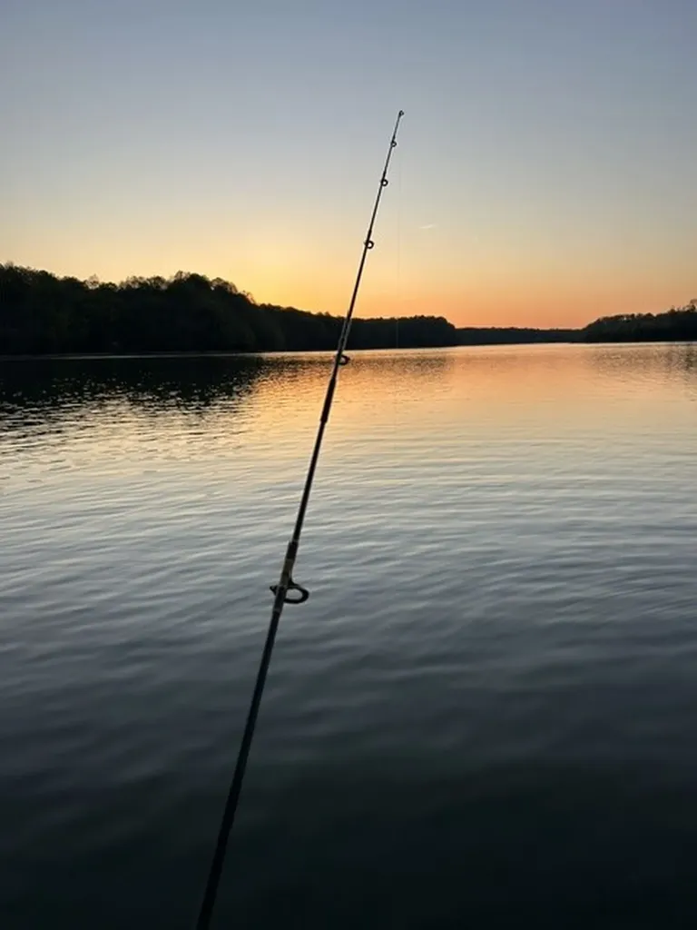 621 Lake Haven Drive Tullahoma TN 37388
