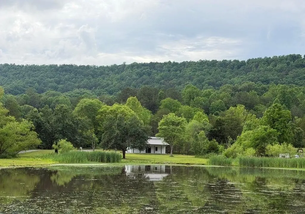 1483 Reagan Valley Road Tellico Plains TN 37385