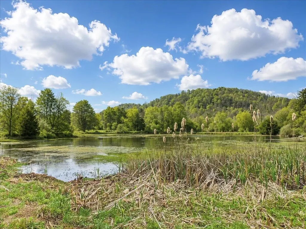 1483 Reagan Valley Road Tellico Plains TN 37385