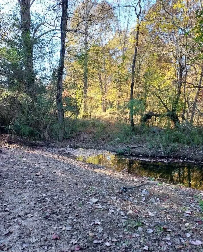 395 Good Hope Road Leoma TN 38468