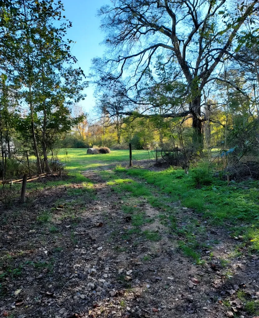 395 Good Hope Road Leoma TN 38468