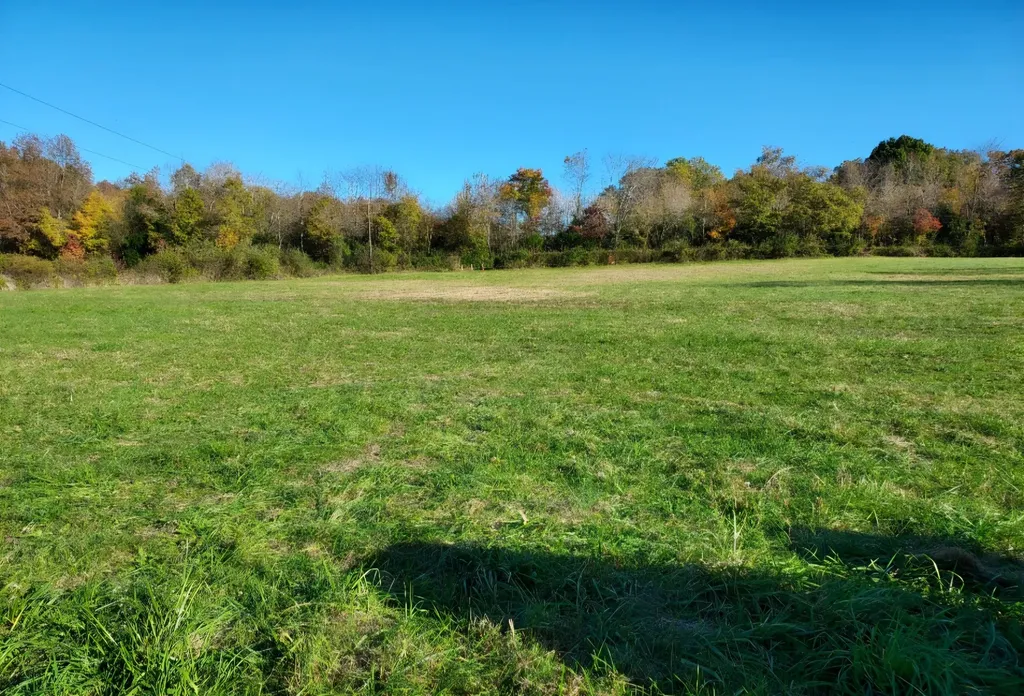 395 Good Hope Road Leoma TN 38468
