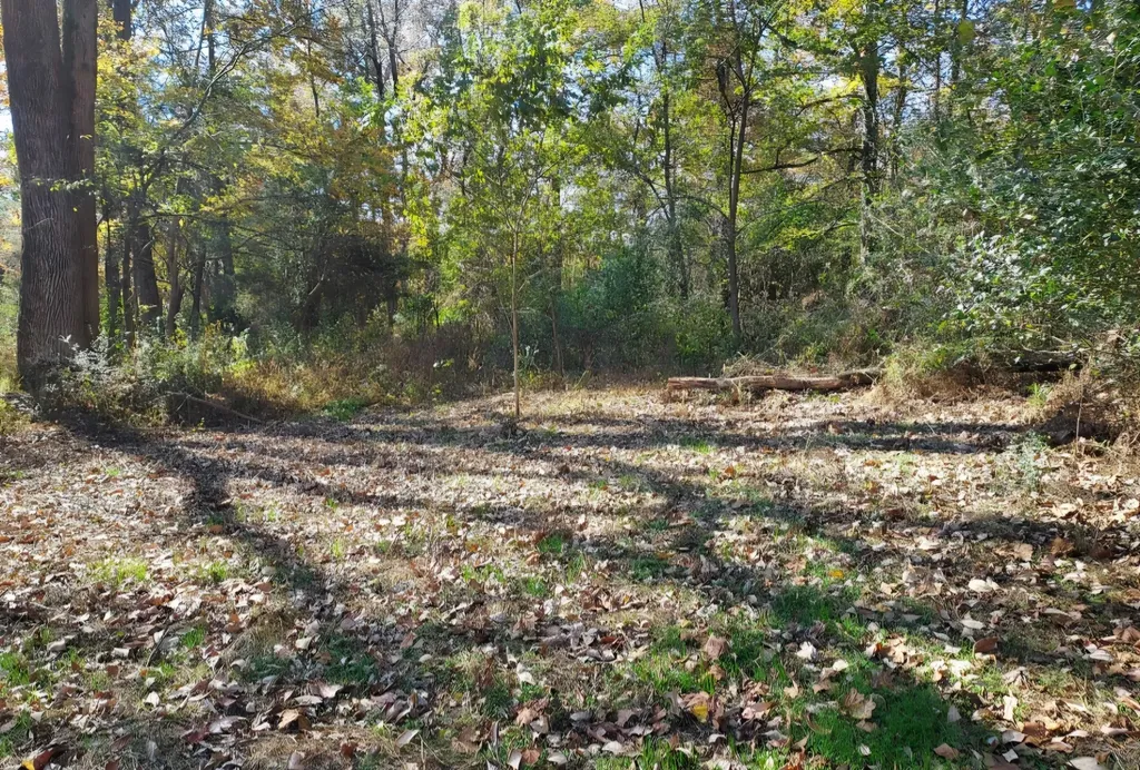 395 Good Hope Road Leoma TN 38468