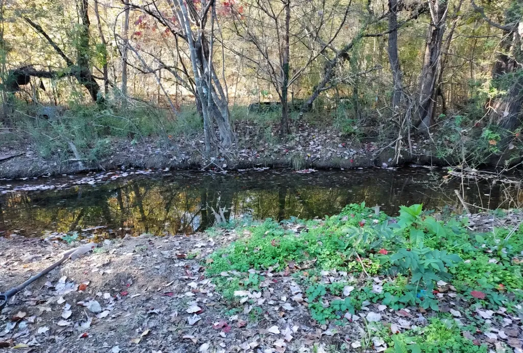 395 Good Hope Road Leoma TN 38468