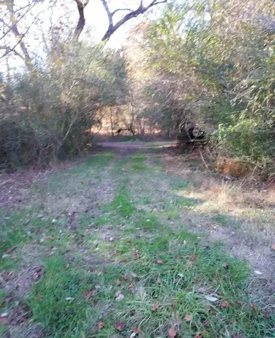 395 Good Hope Road Leoma TN 38468