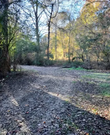 395 Good Hope Road Leoma TN 38468