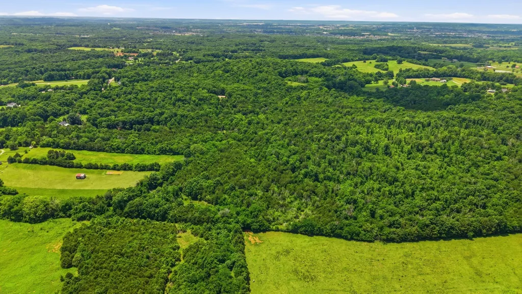 0 Joe Peay Road Spring Hill TN 37174