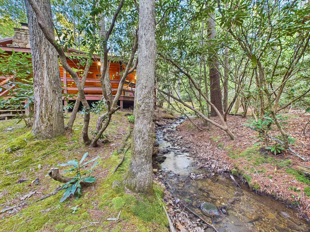 113 Rivendell Lane Tellico Plains TN 37385