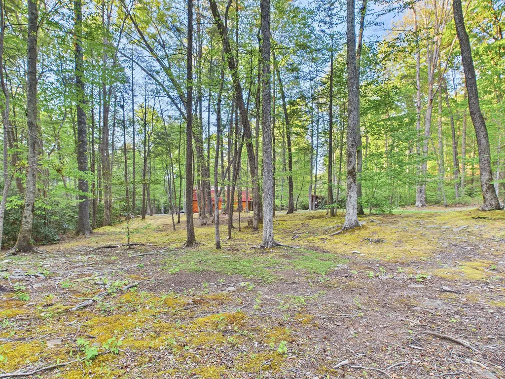113 Rivendell Lane Tellico Plains TN 37385