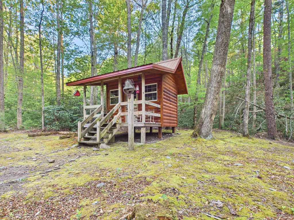 113 Rivendell Lane Tellico Plains TN 37385