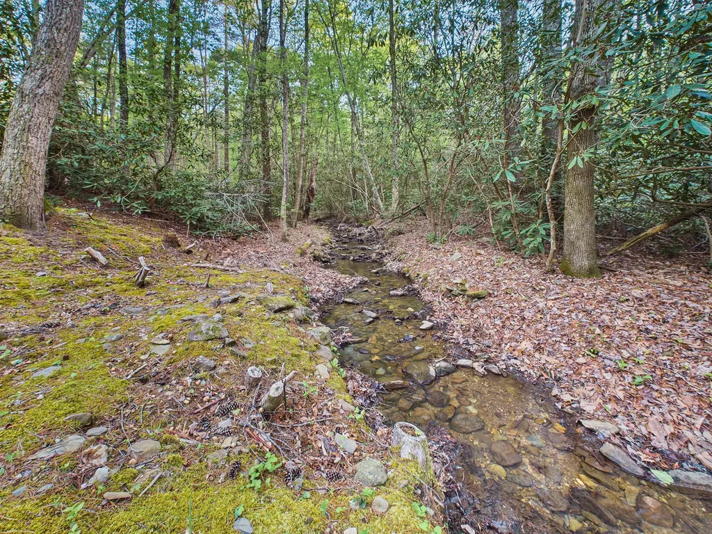 113 Rivendell Lane Tellico Plains TN 37385