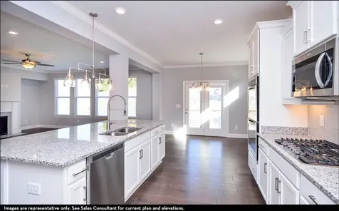 7322 Buckhorn Court Fairview TN 37062