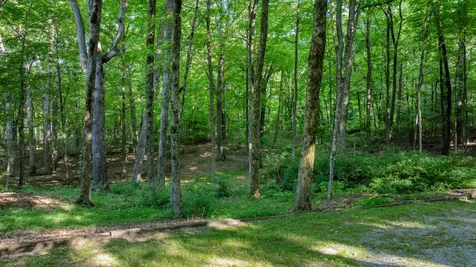 80 Unaka Drive Monteagle TN 37356
