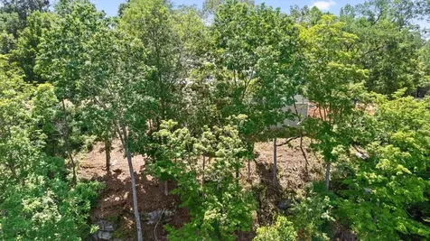 300 Chandler Road Doyle TN 38559