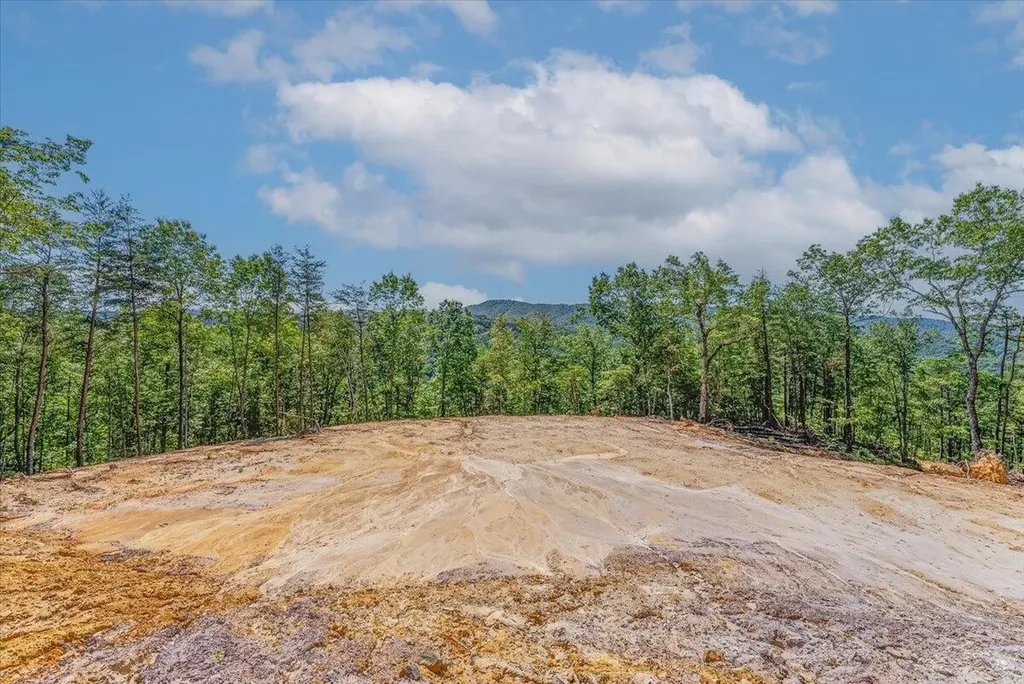 1200 Steer Creek Road Tellico Plains TN 37385