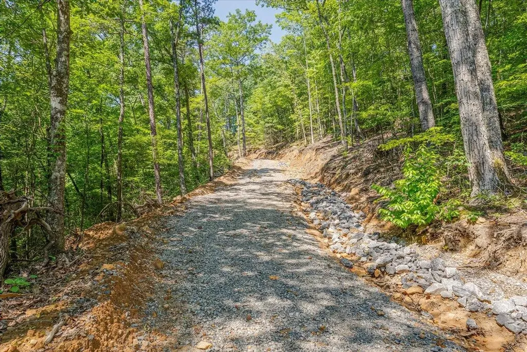 1200 Steer Creek Road Tellico Plains TN 37385
