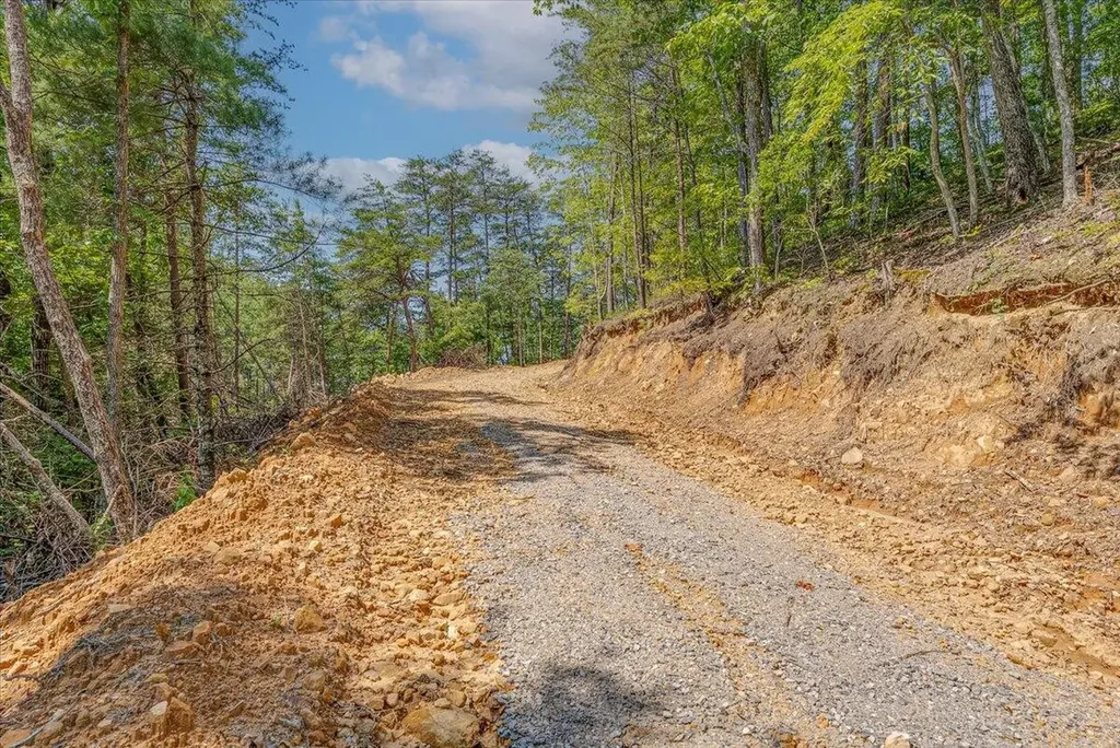 1200 Steer Creek Road Tellico Plains TN 37385