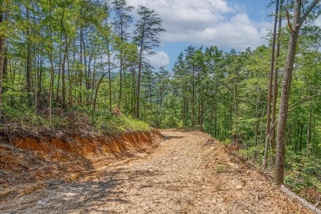 1200 Steer Creek Road Tellico Plains TN 37385
