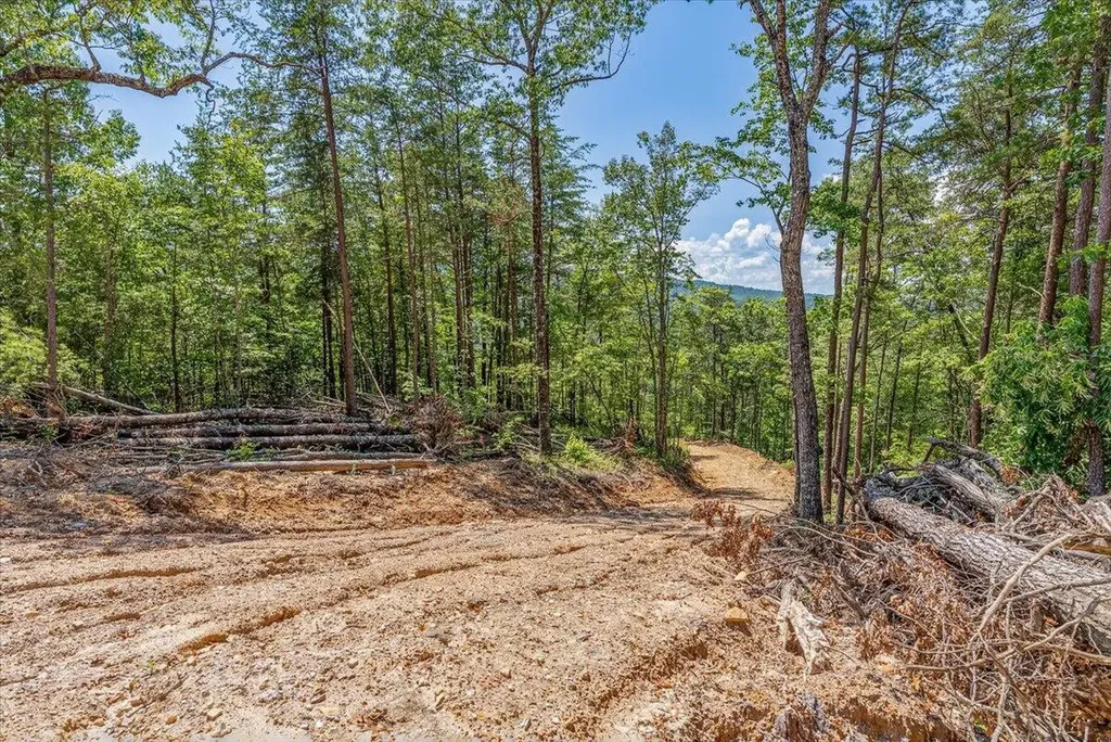 1200 Steer Creek Road Tellico Plains TN 37385
