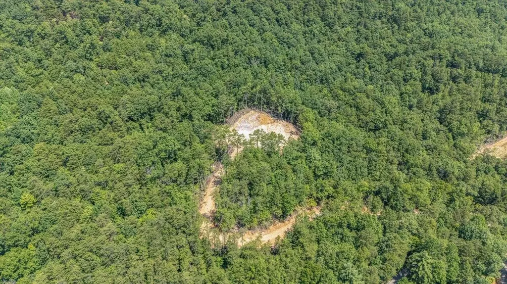 1200 Steer Creek Road Tellico Plains TN 37385