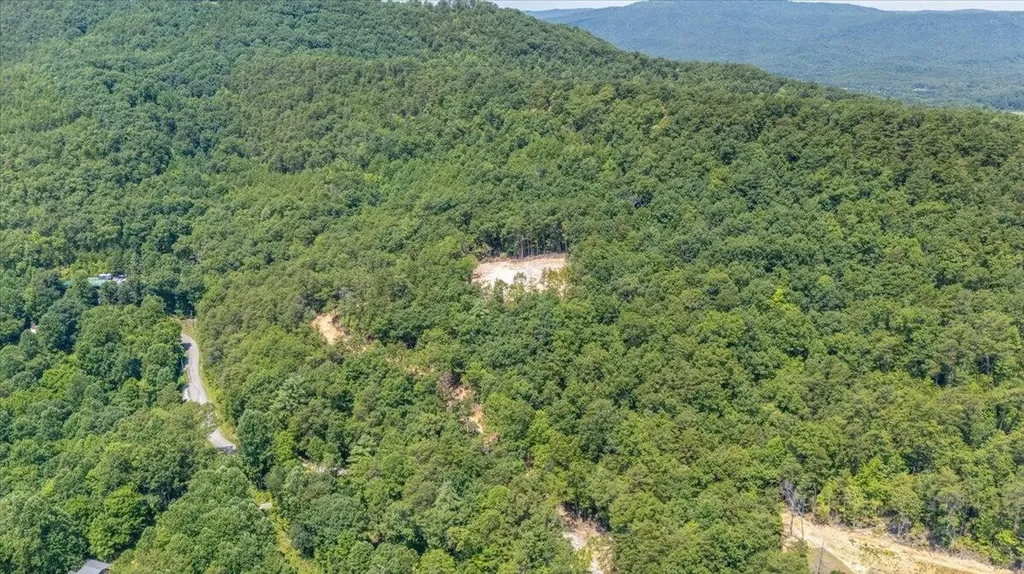 1200 Steer Creek Road Tellico Plains TN 37385