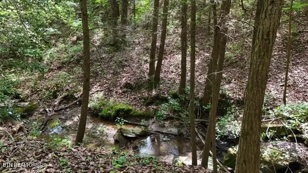 3738 T Crowe Circle Soddy Daisy TN 37379