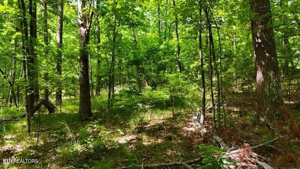 3738 T Crowe Circle Soddy Daisy TN 37379