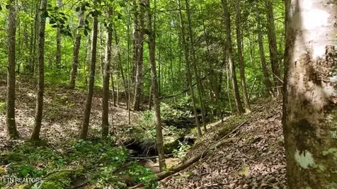 3738 T Crowe Circle Soddy Daisy TN 37379