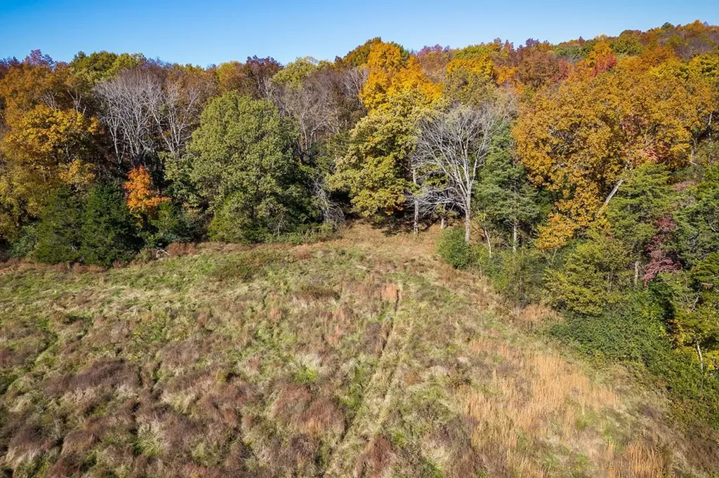 0 Webbs Camp Road Walling TN 38587