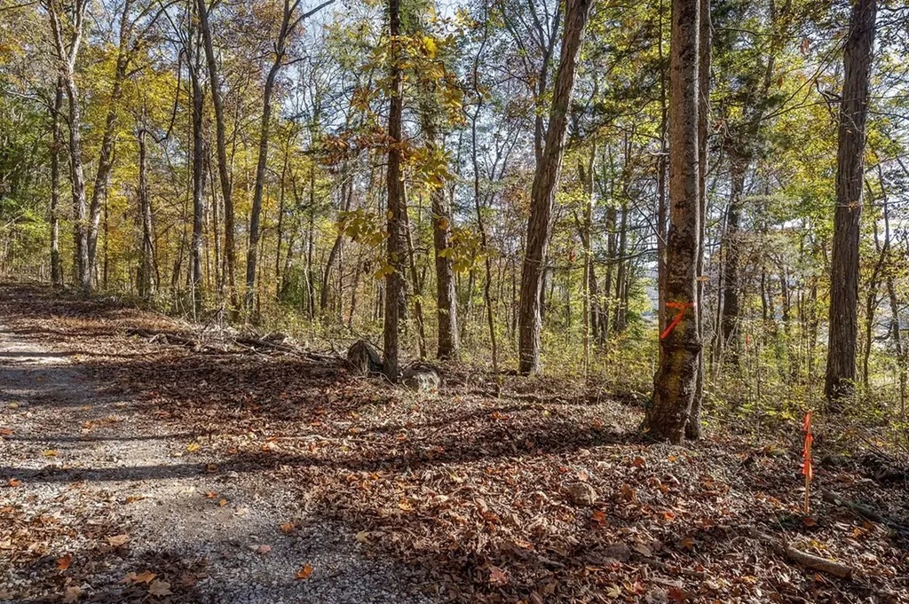 0 Webbs Camp Road Walling TN 38587