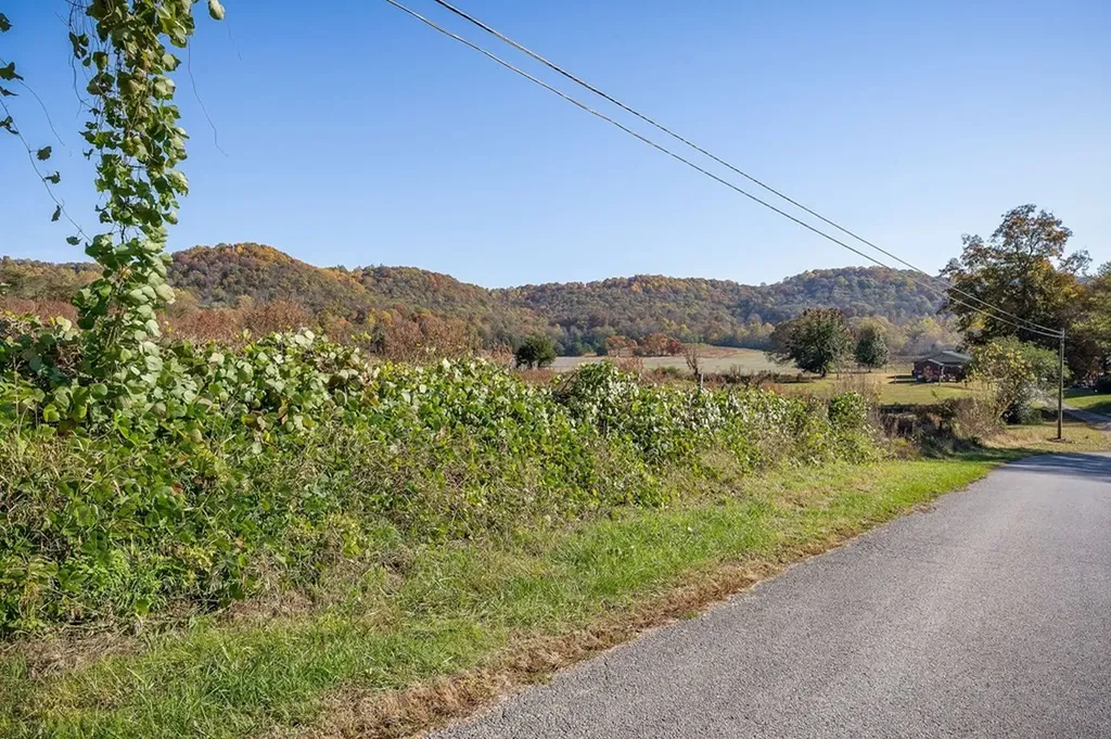 0 Webbs Camp Road Walling TN 38587