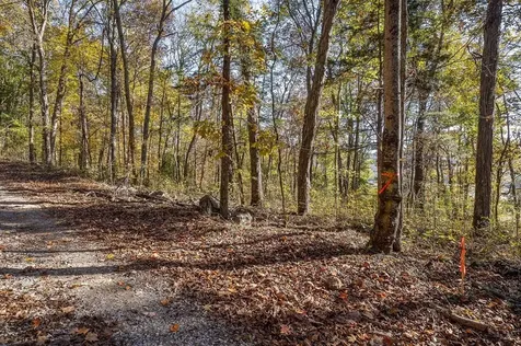 0 Webbs Camp Road Walling TN 38587