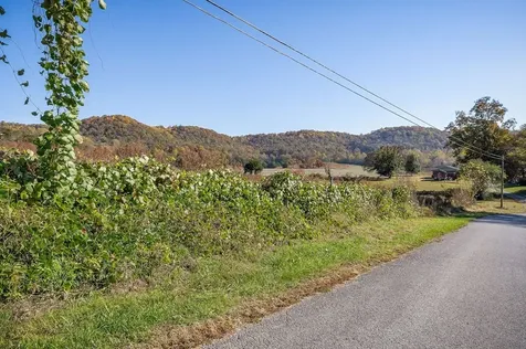 0 Webbs Camp Road Walling TN 38587