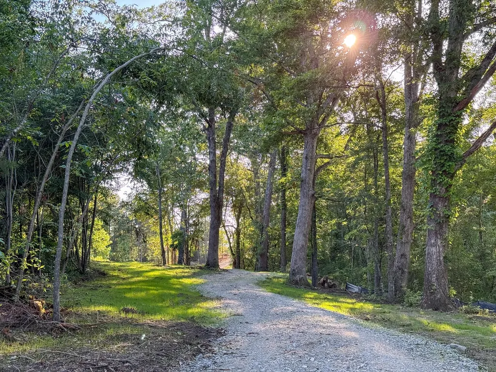 0 Highway 301 Trenton GA 30752