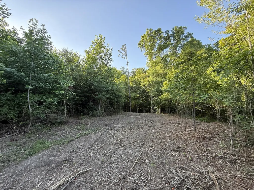 0 Highway 301 Trenton GA 30752