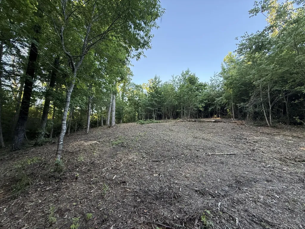 0 Highway 301 Trenton GA 30752