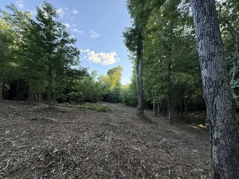 0 Highway 301 Trenton GA 30752