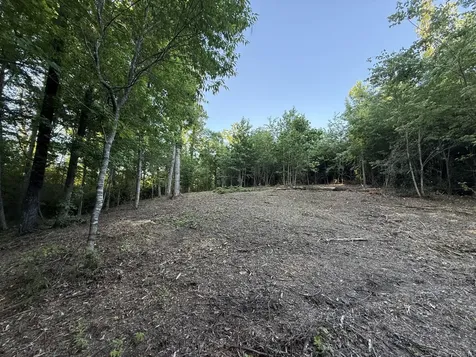0 Highway 301 Trenton GA 30752