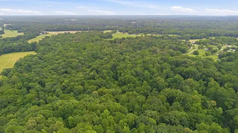 2010 Mosley Ferry Road Chapmansboro TN 37035