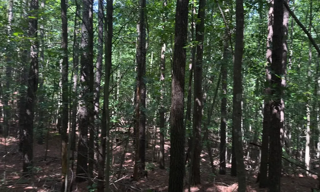 0 Hickory Nut Trail Spencer TN 38585
