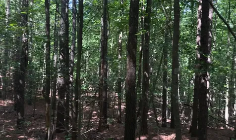 0 Hickory Nut Trail Spencer TN 38585