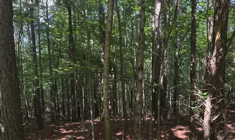 0 Hickory Nut Trail Spencer TN 38585