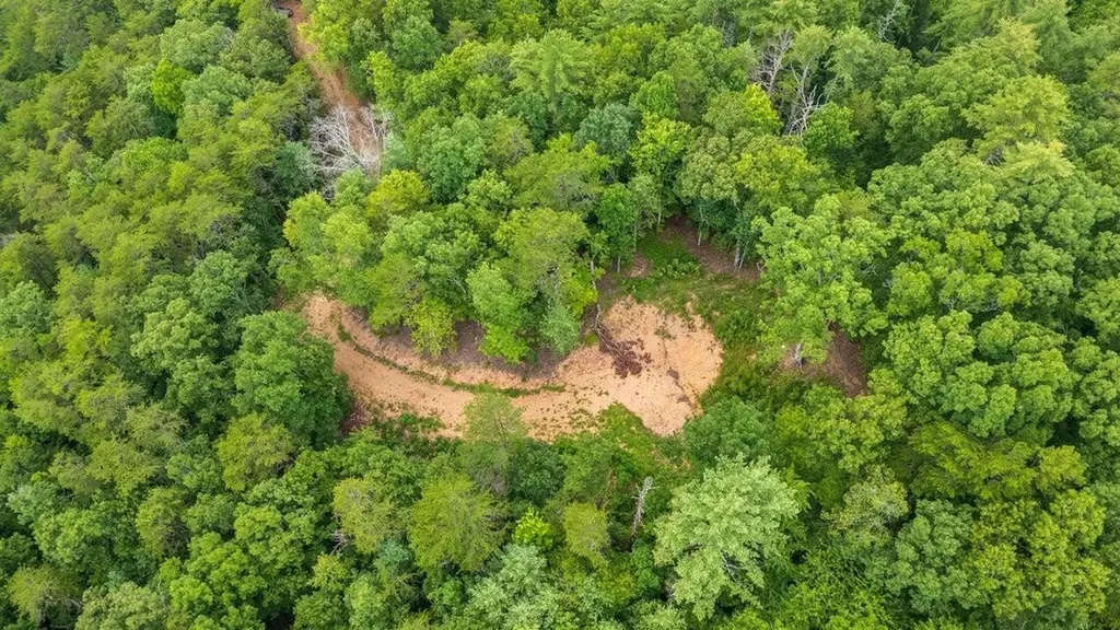 118 Price Road Reliance TN 37369